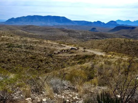 Terlingua Ranch 20 Acre Land