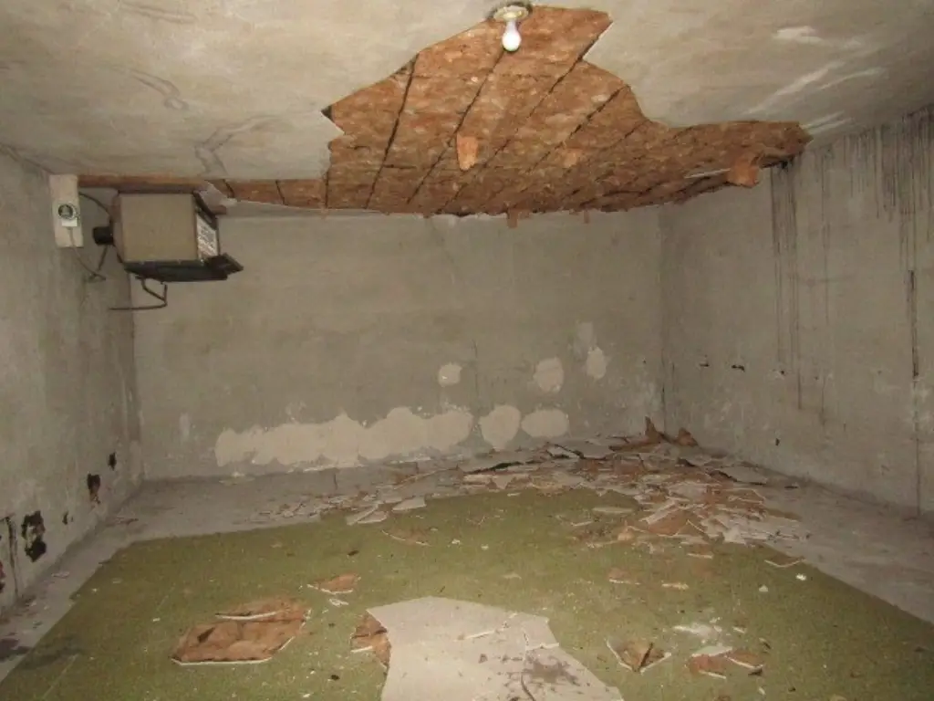 Picture 31