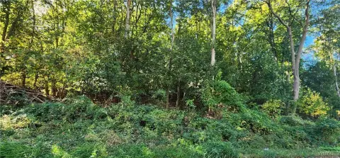 Land in Lockport, NY