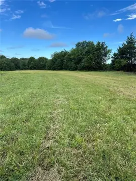 Sulphur Springs Unimproved Land Parcel