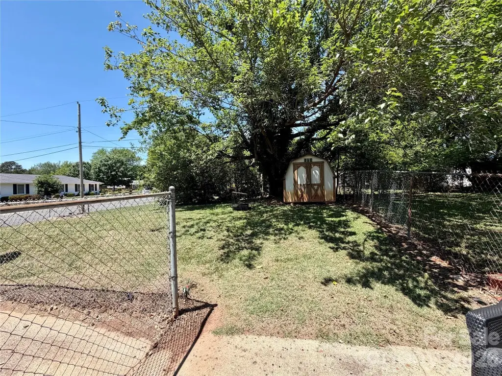 Picture 21