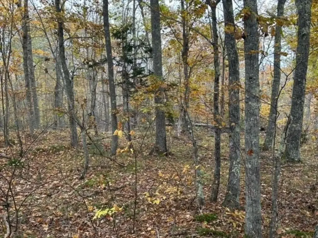Picture 4