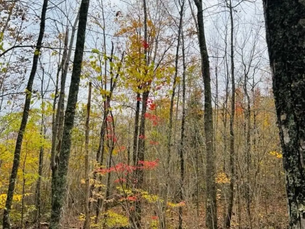 Picture 7
