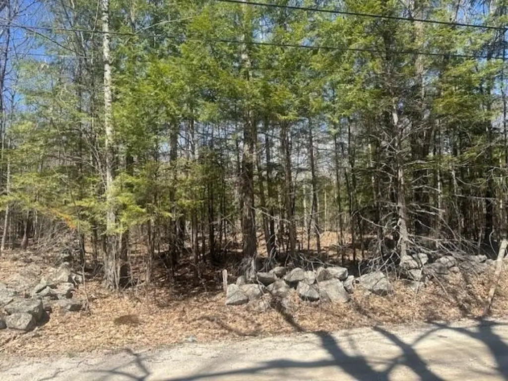 Picture 2