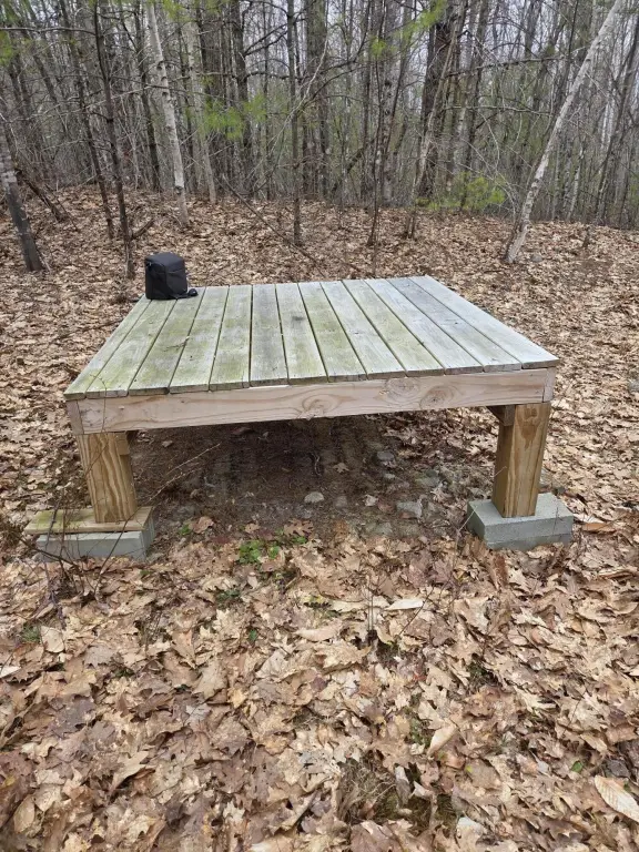 Picture 4