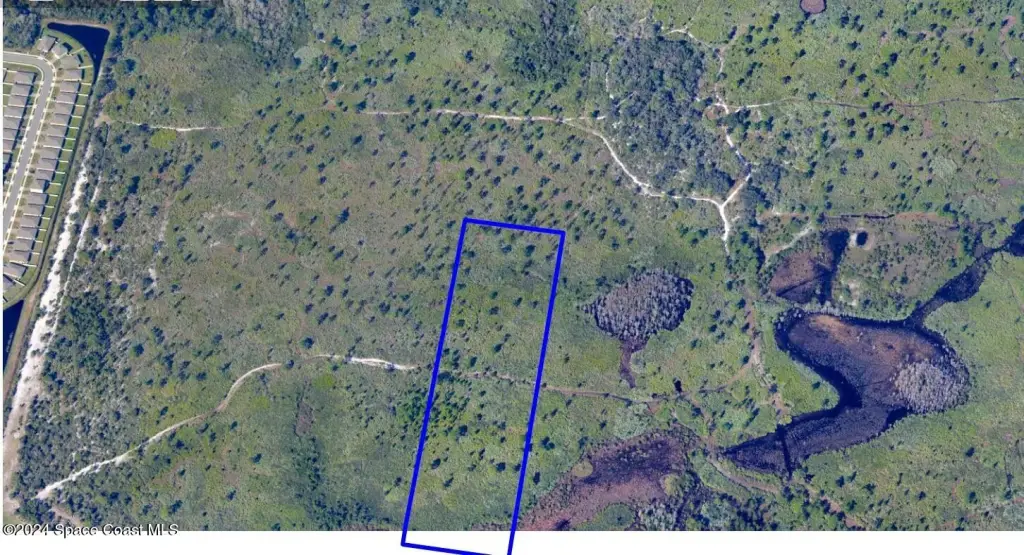 Picture 3