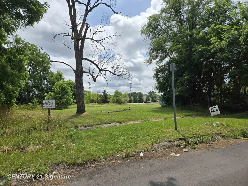 Picture 5