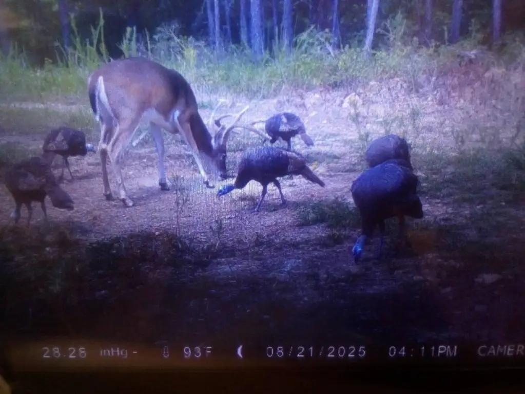 Picture 14