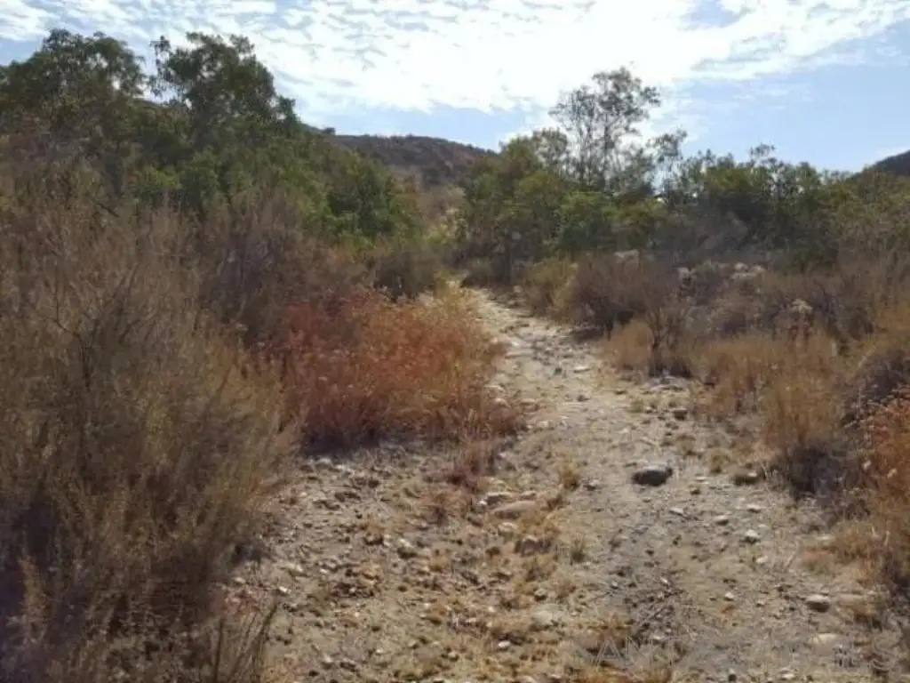Picture 36