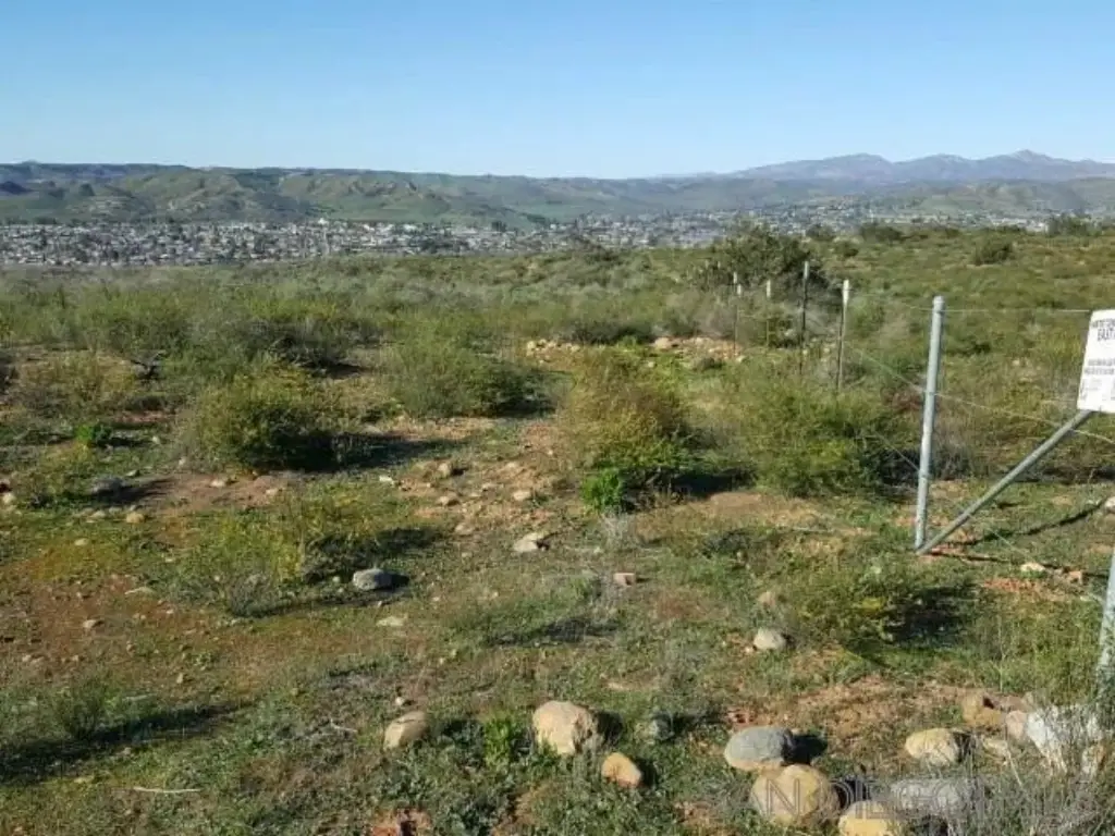 Picture 18