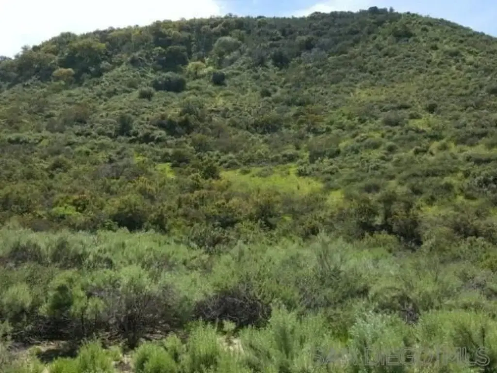 Picture 46