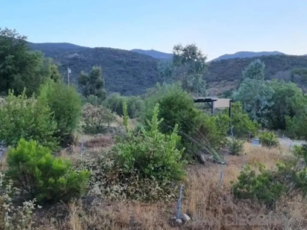 Picture 41