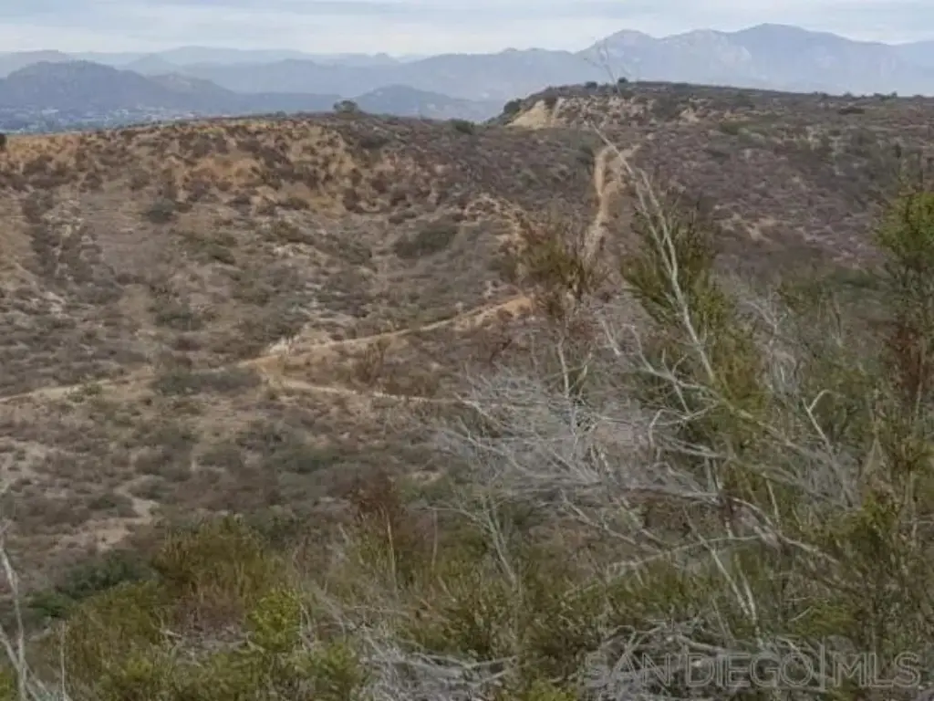 Picture 38