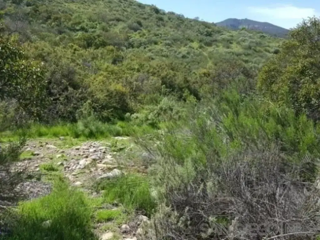 Picture 26