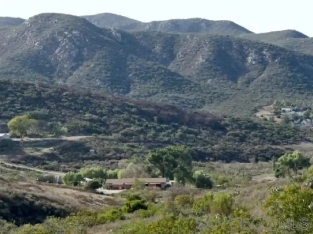 Picture 23