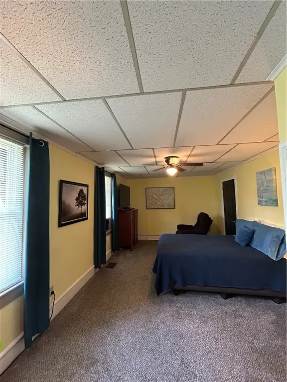 Picture 12