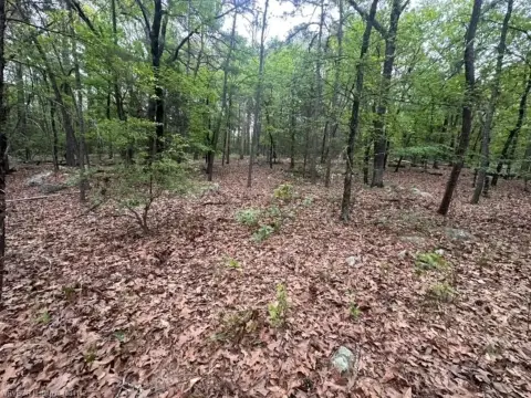 7.5 Acres in Kiamichi Wilderness