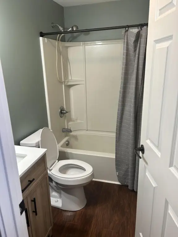 Picture 19
