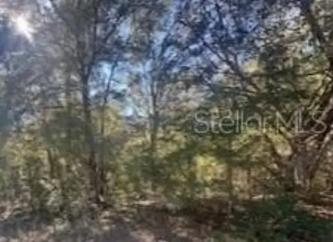 Land in Citrus Springs, FL