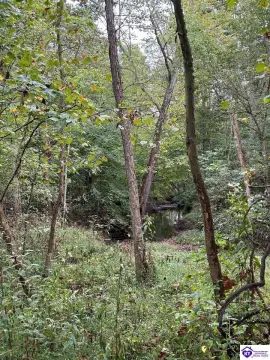 9.97 Acres Wooded Land