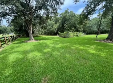 Residential Land in Springfield, LA