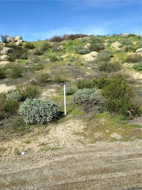 Picture 7