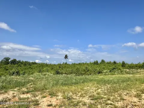 Rolling Hunting Land
