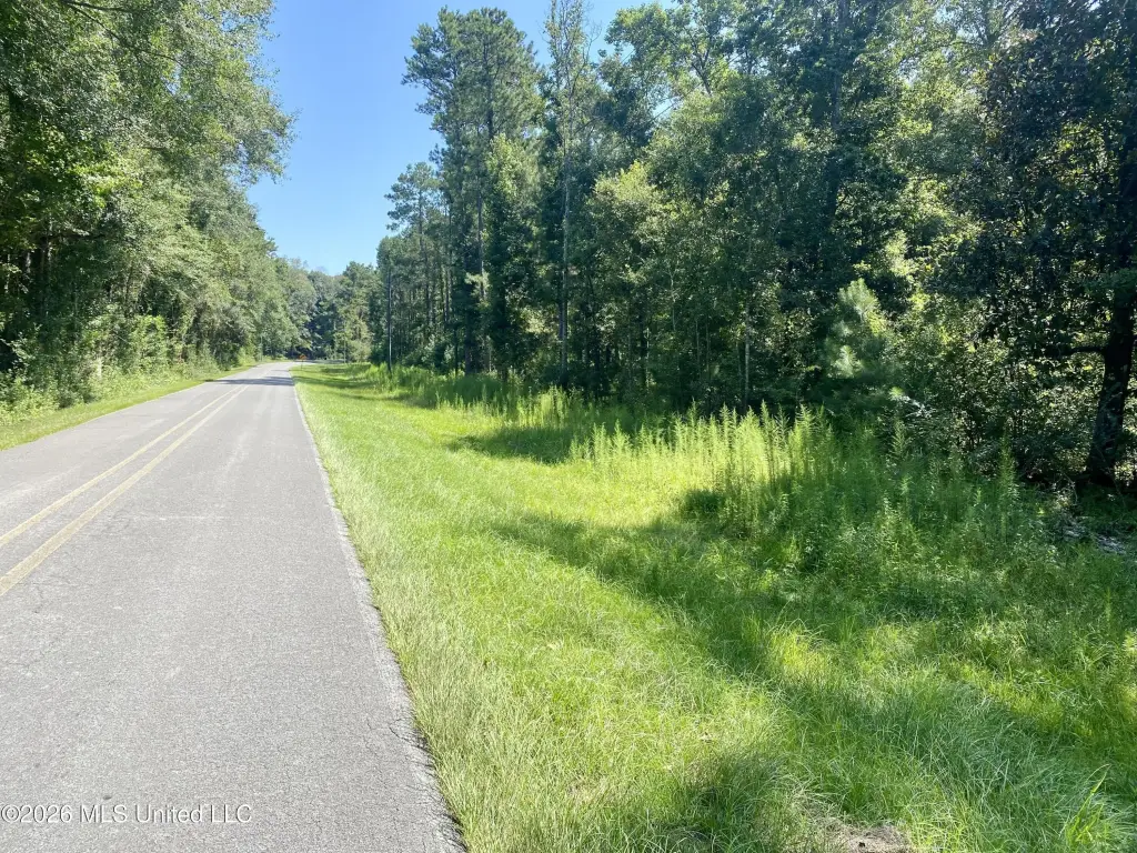Picture 7