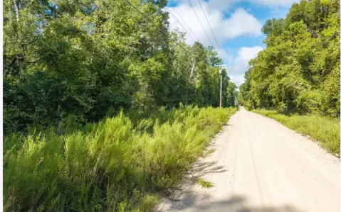 Wooded Rural Land