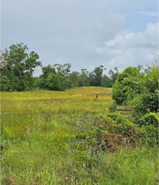 Picture 10
