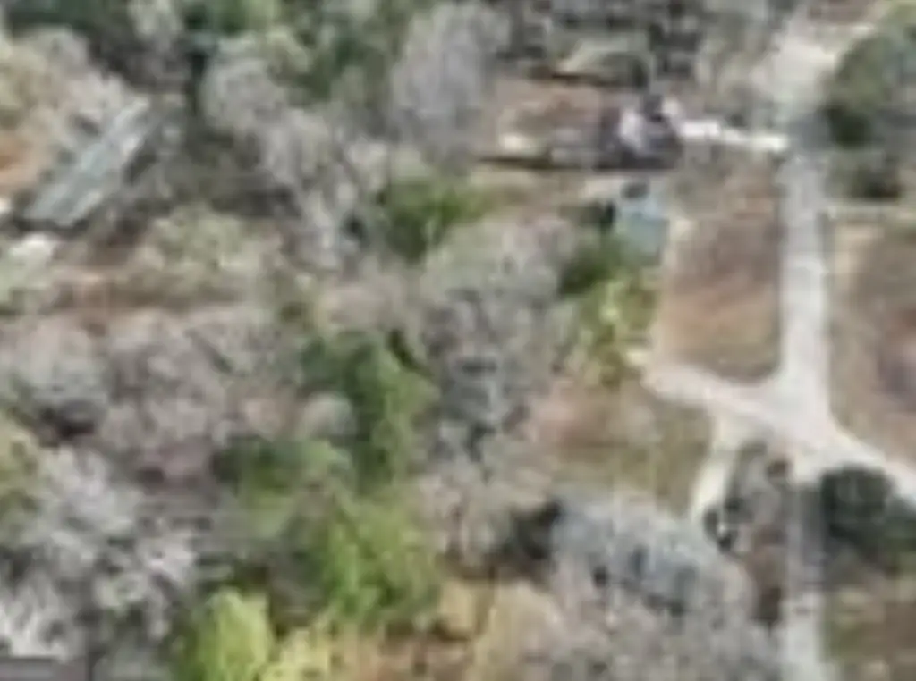 Picture 6