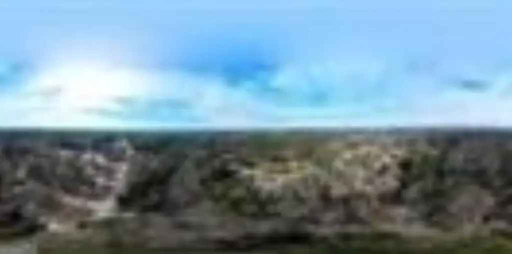 Picture 23