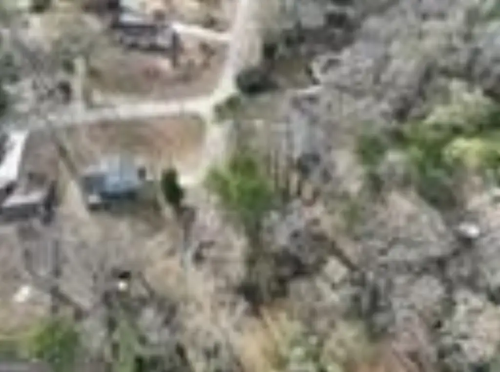 Picture 8