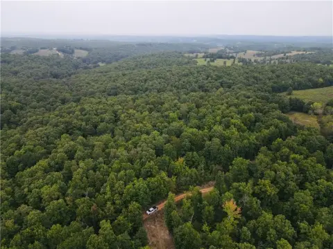 Marshall, AR Wooded Acreage