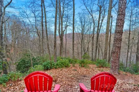 Black Mountain Wooded Estate Opportunity
