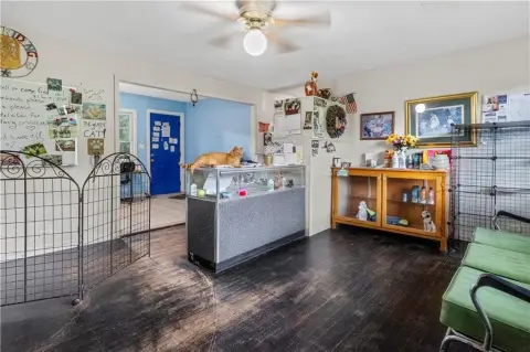 Established Pet Grooming and Boarding