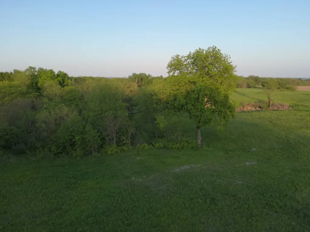 Picture 11