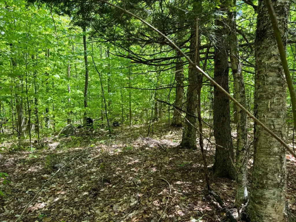Picture 6
