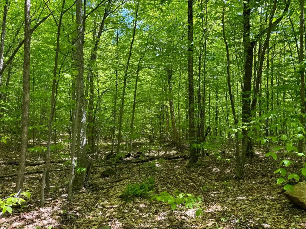 Picture 4