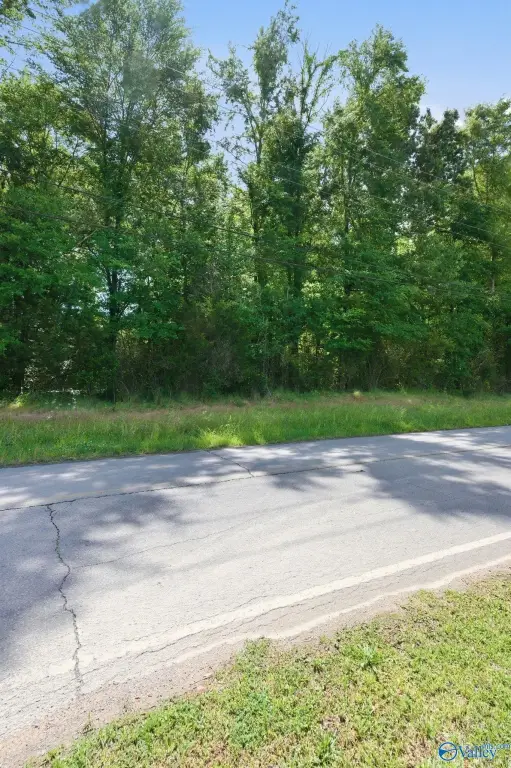Picture 20