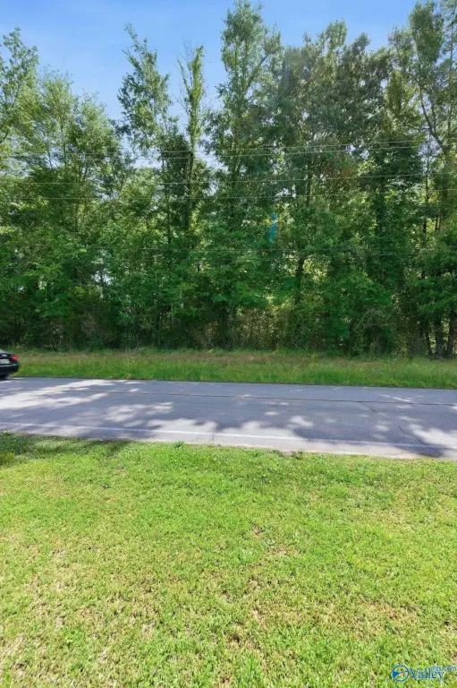 Picture 19