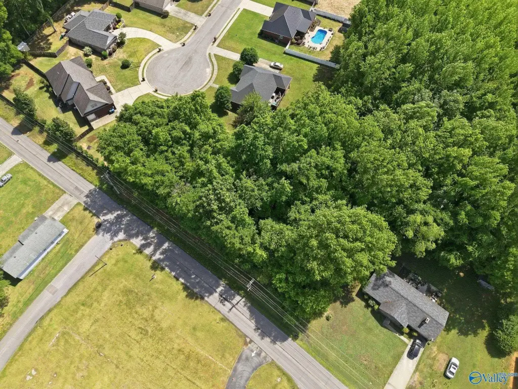 Picture 16
