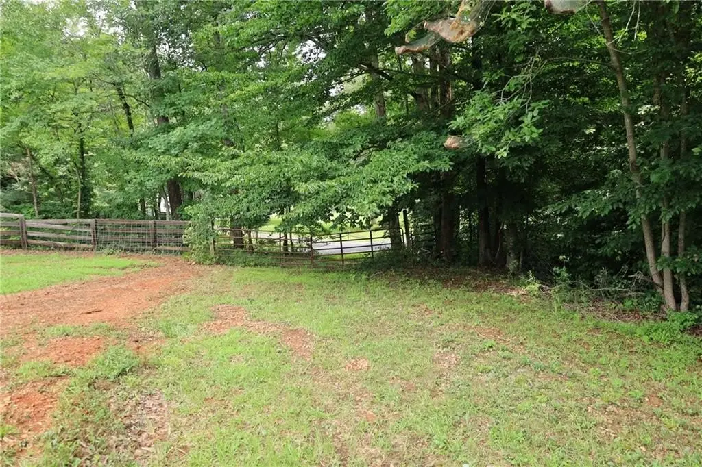 Picture 24