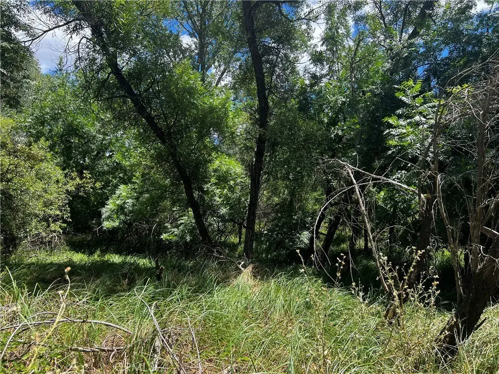 Picture 20
