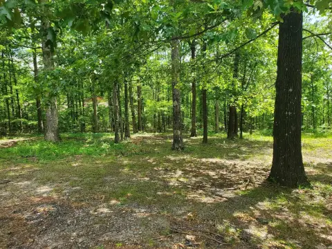 Residential Lot in Mena, AR