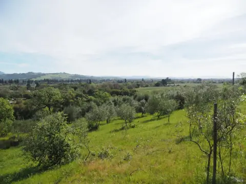 Healdsburg Estate Parcel with Olive Grove