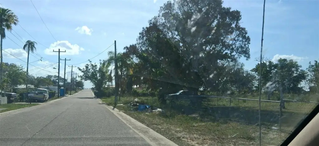 Picture 5