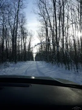 Vacant Land in Hillman, MI