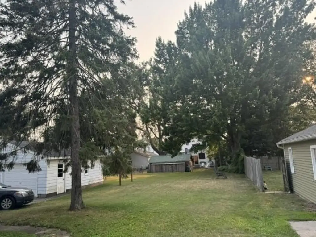 Picture 31