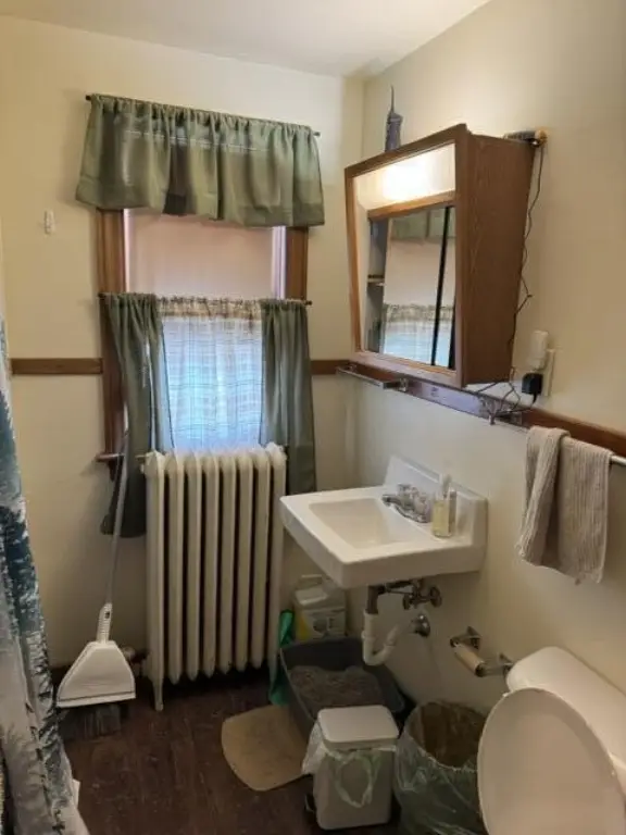 Picture 15